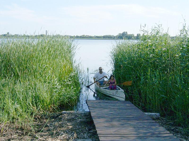 2010.07.08. 002.jpg